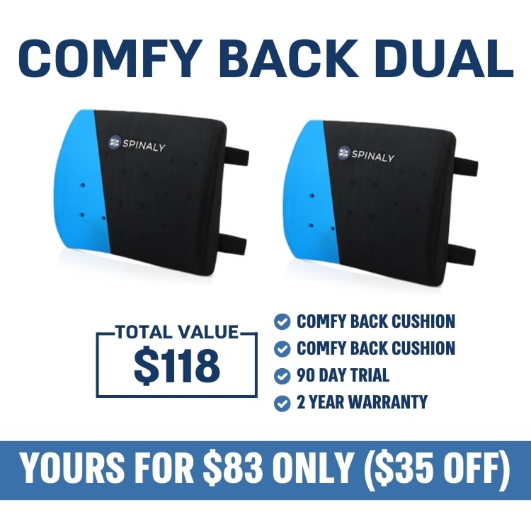 Comfy Back Dual