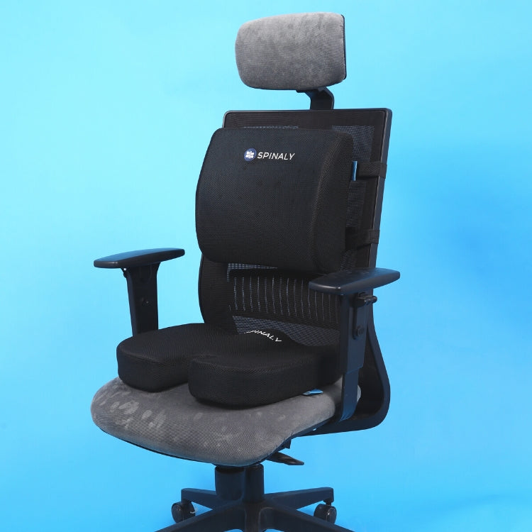 Seat & Back Bundle