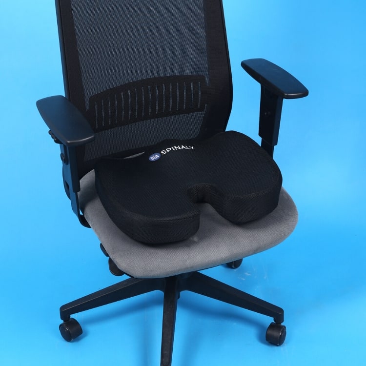 Comfy Seat Dual